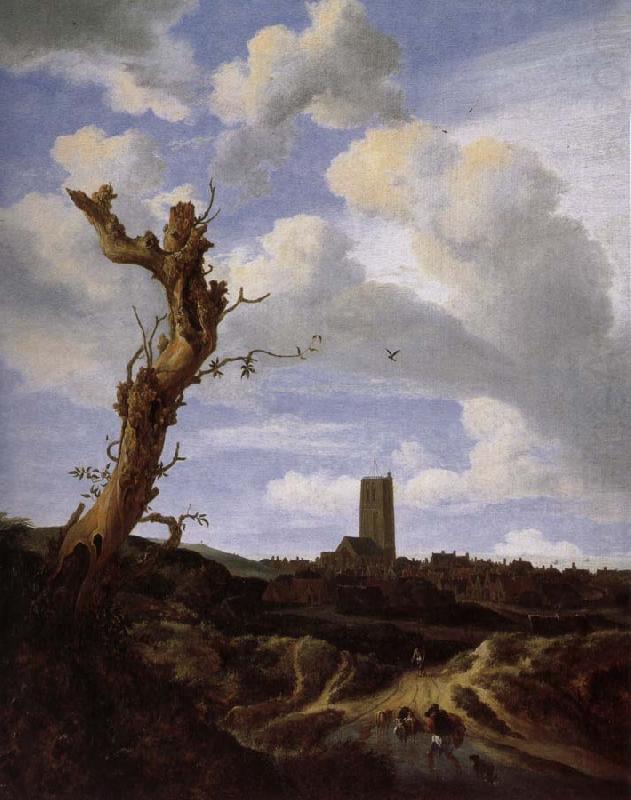 Jacob van Ruisdael View of Egmond aan Zee with a Blasted Elm china oil painting image